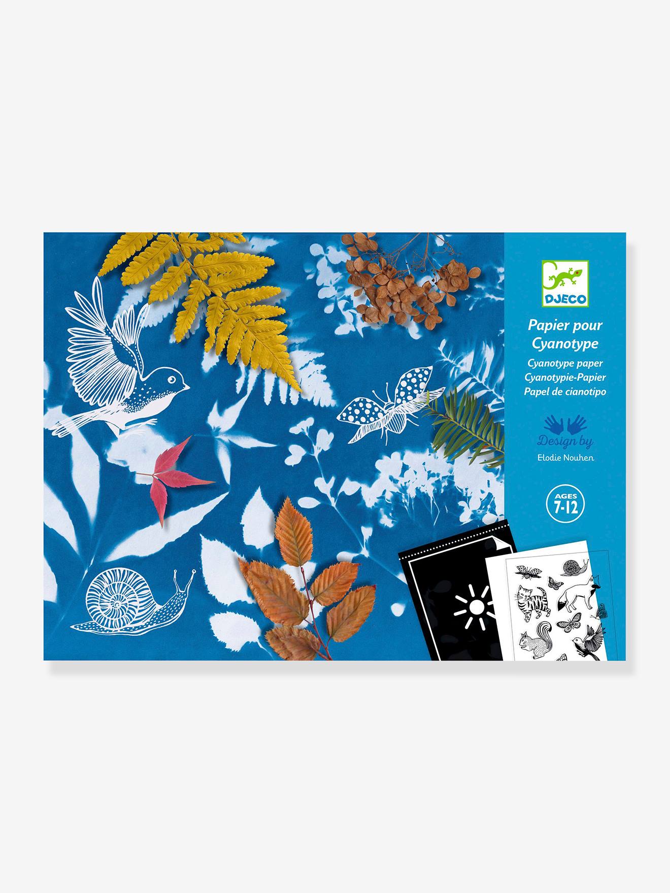 Papiers pour cyanotype - multicolore