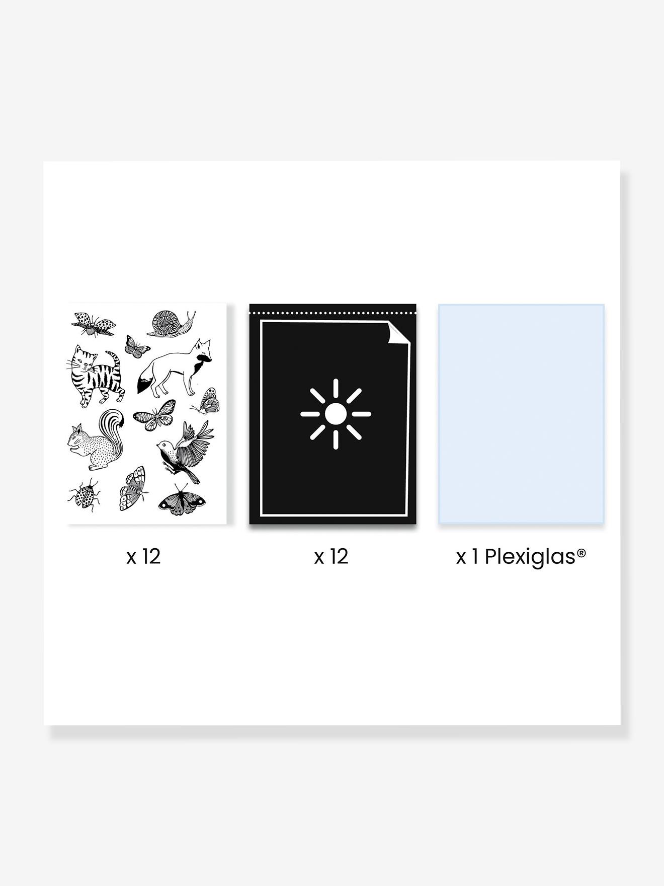 Papiers pour cyanotype - multicolore