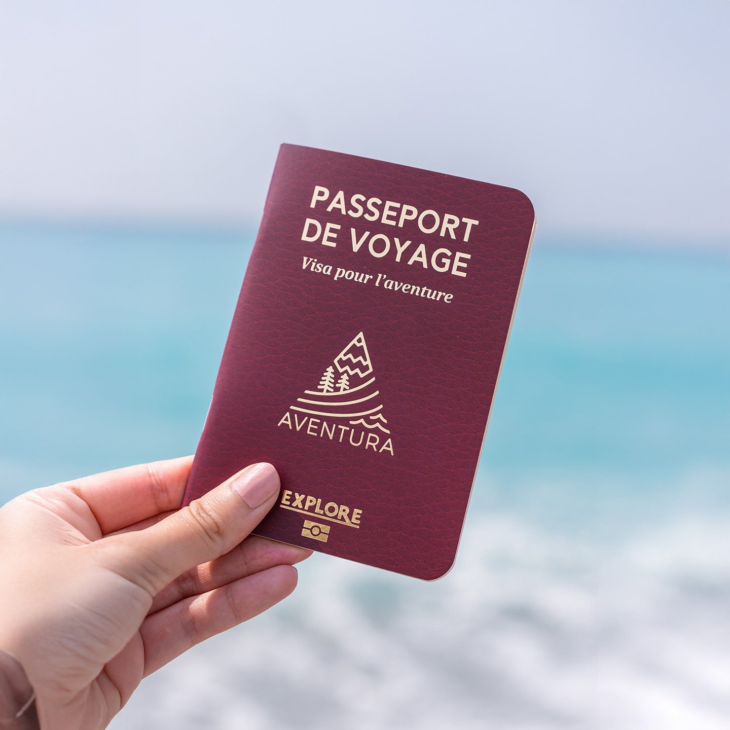 Passeport de voyage carnet de notes ouvert