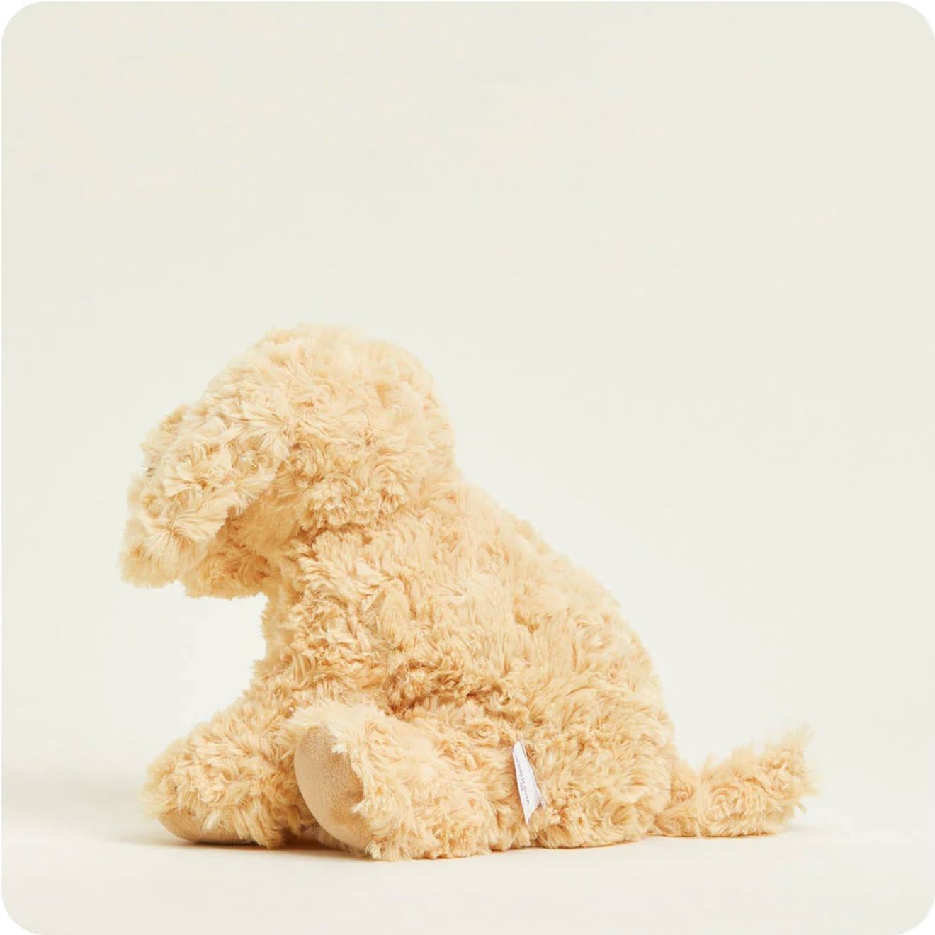 Peluche bouillotte chien bouclé beige