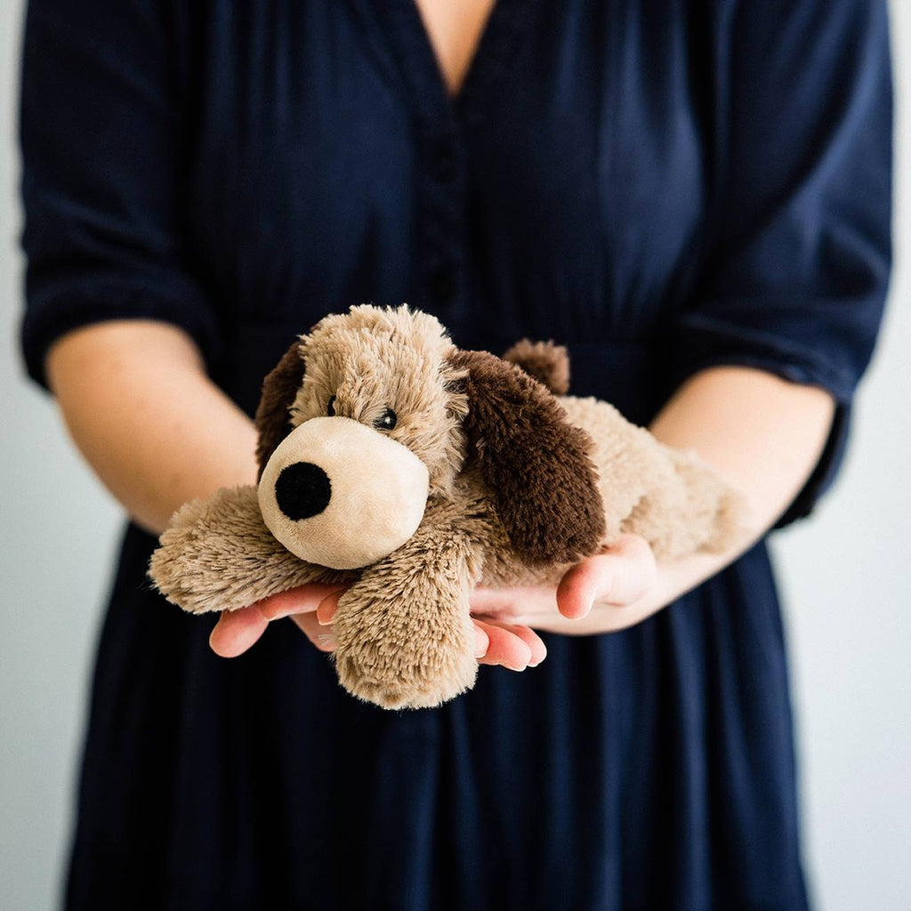 Peluche bouillotte chien junior marron