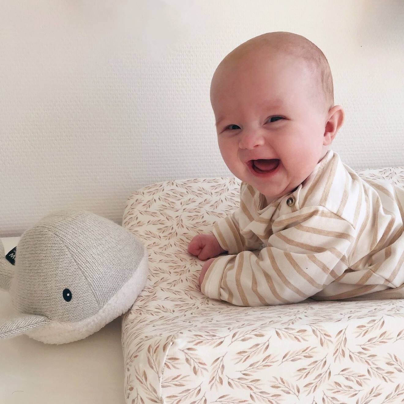 Peluche bruit blanc rechargeable baleine moby gris