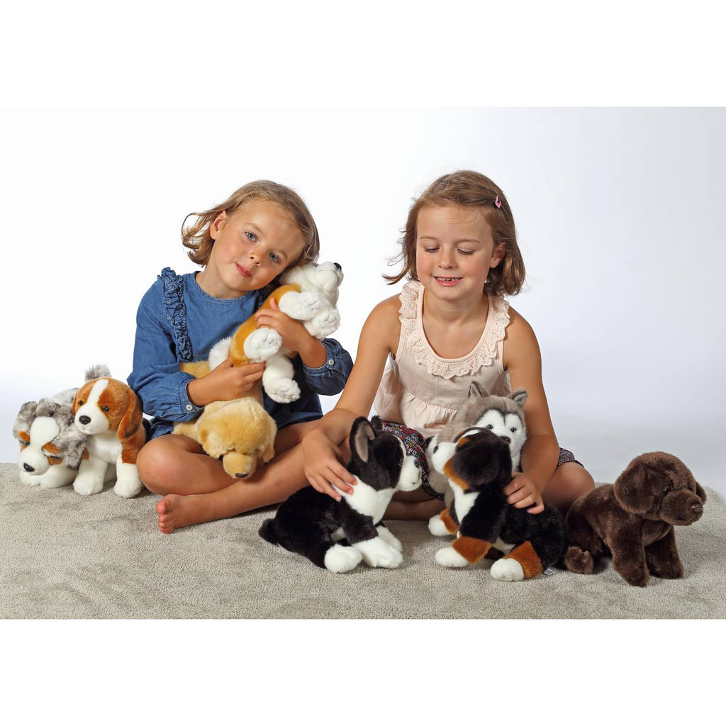 Peluche - chien réaliste assis, bouvier bernois 25 cm marron