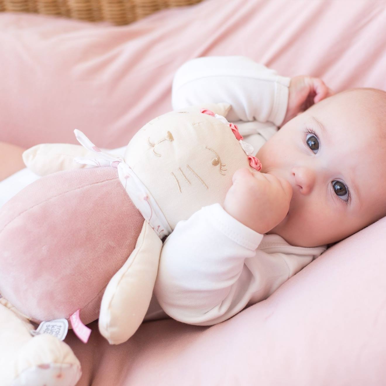 Peluche musicale rose