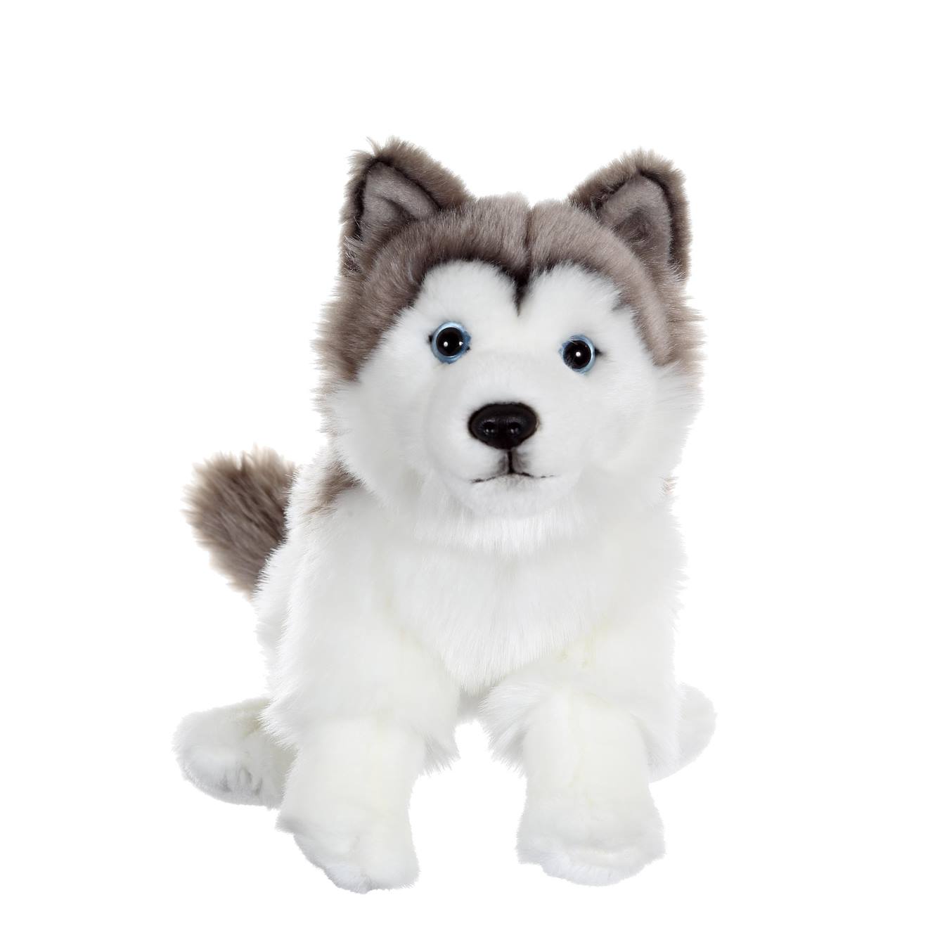 Peluche - peluche chiens réalistes assis, husky 25 cm noir