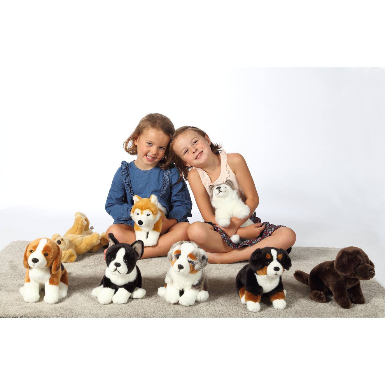 Peluche - peluche chiens réalistes assis, husky 25 cm noir