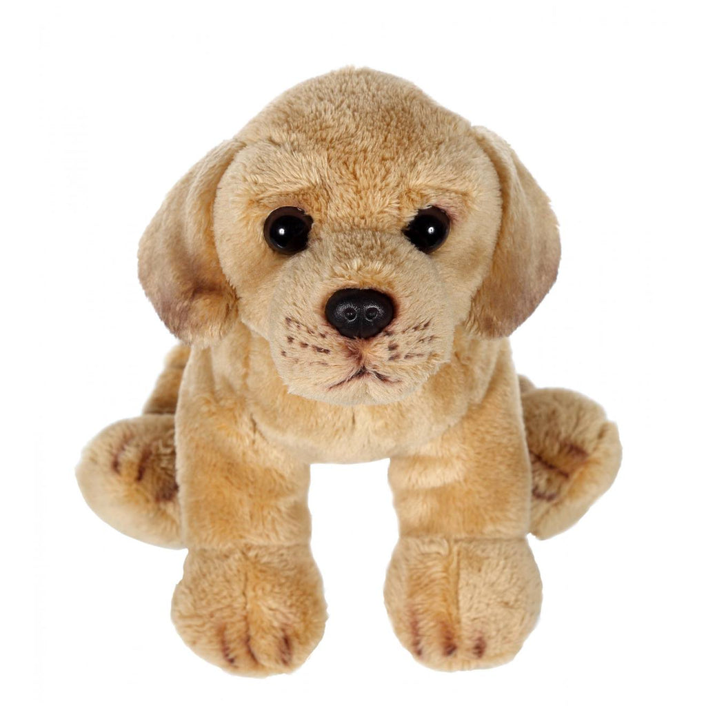 Peluche - peluche floppipup labrador - 22 cm marron