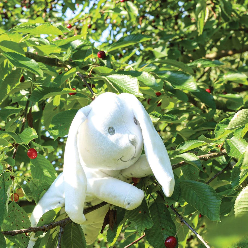 Peluche petit lapin blanc