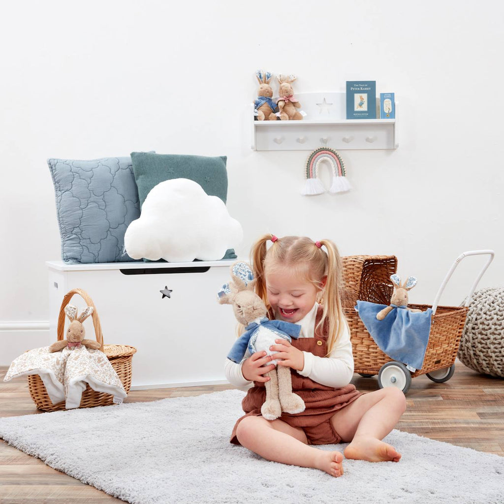 Peluche pierre lapin bleu, marron