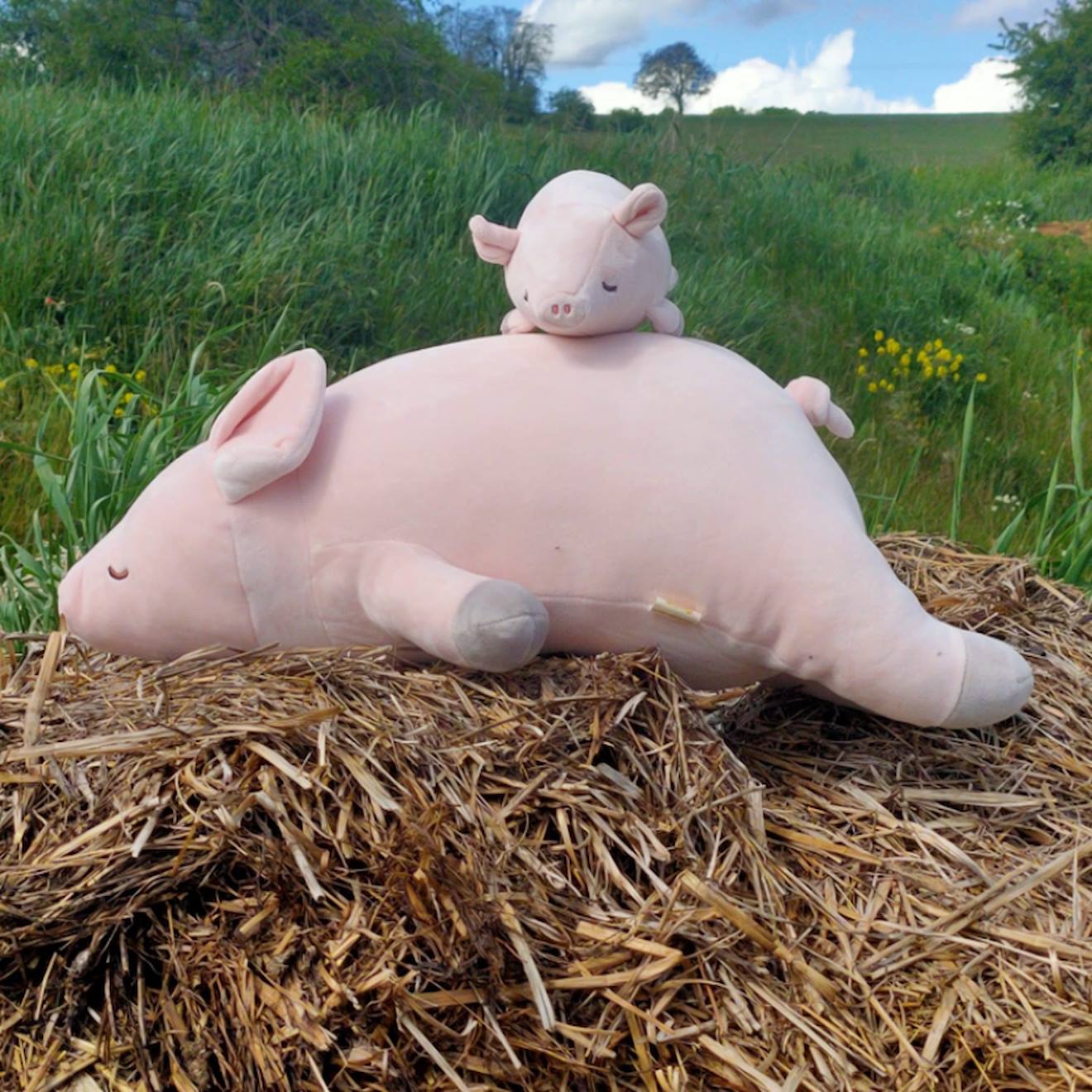 Peluche pinkie le cochon (55 cm) rose, marron