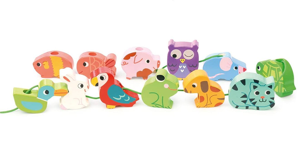 Perles animaux familiers bleu