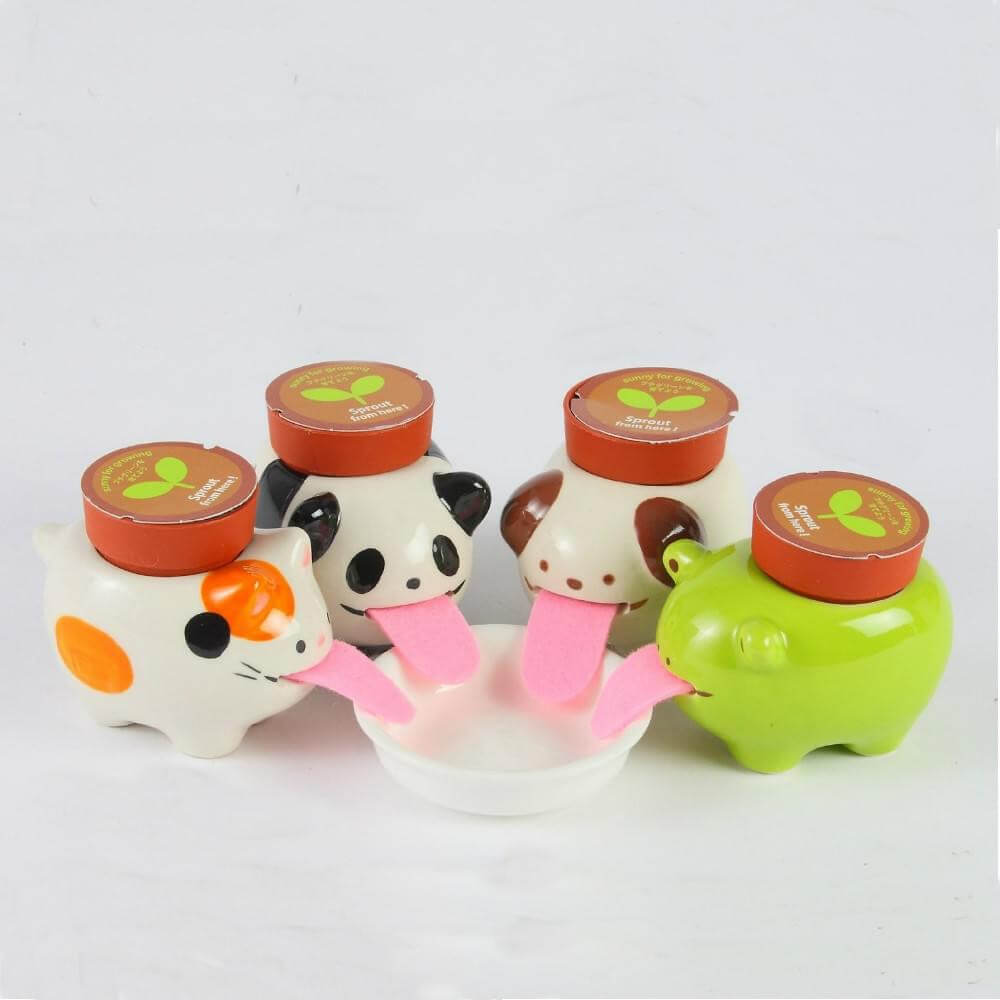 Peropon Chien Trèfle - Kits de Plantation CadoMaestro
