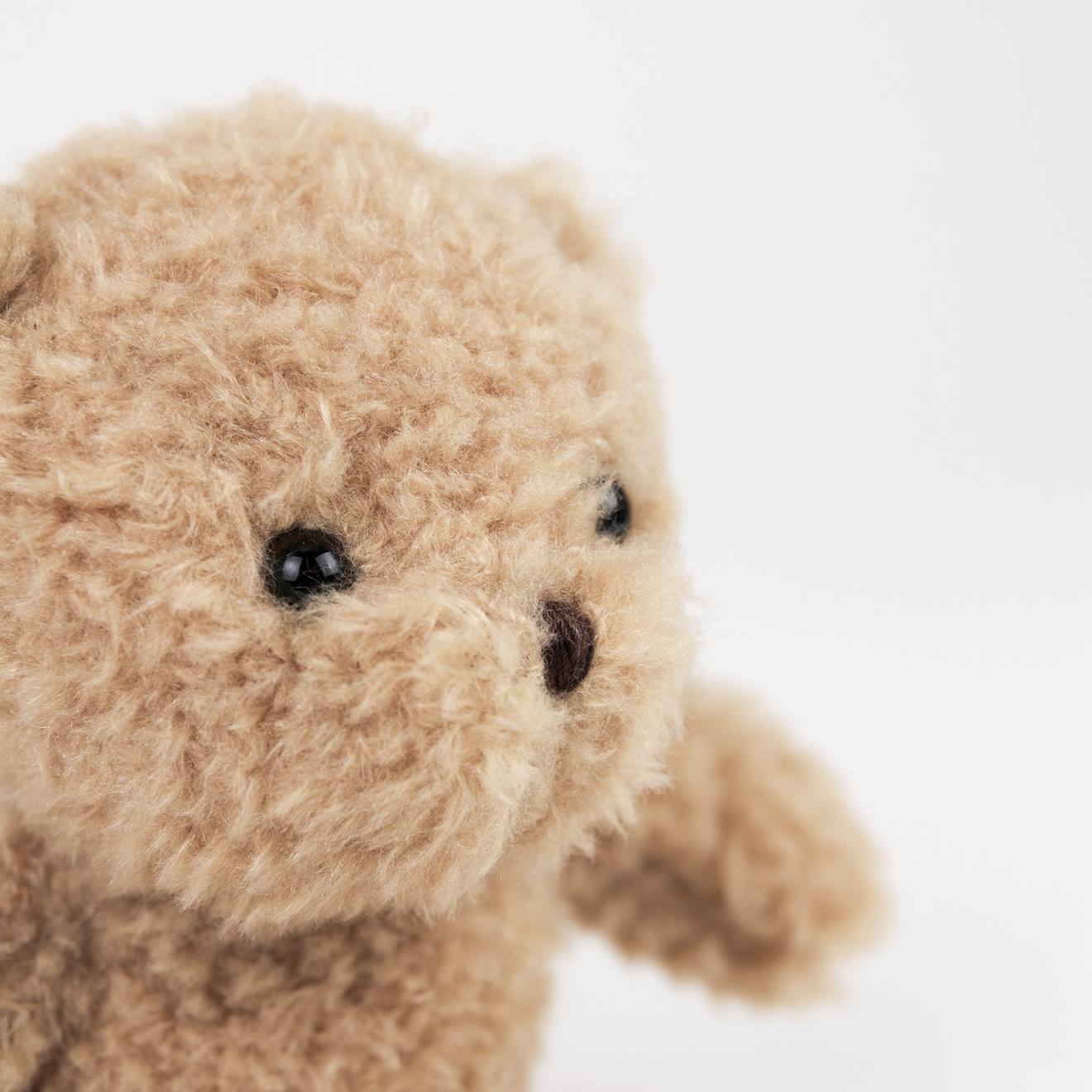 Petit ours en peluche morris beige