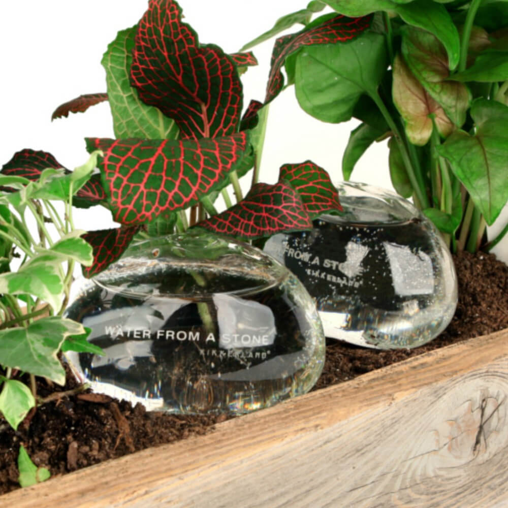 Pierres d'Eau pour Plantes (x2) - Kits de Plantation