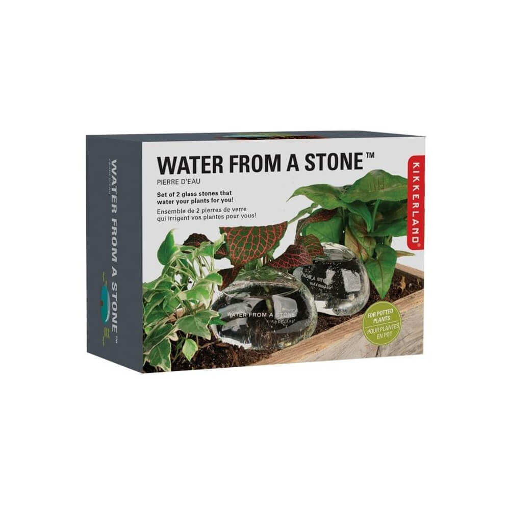 Pierres d'Eau pour Plantes (x2) - Kits de Plantation Kikkerland