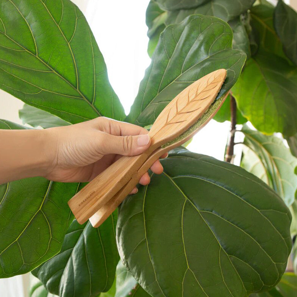 Pinces de Nettoyage pour Plantes - Kits de Plantation