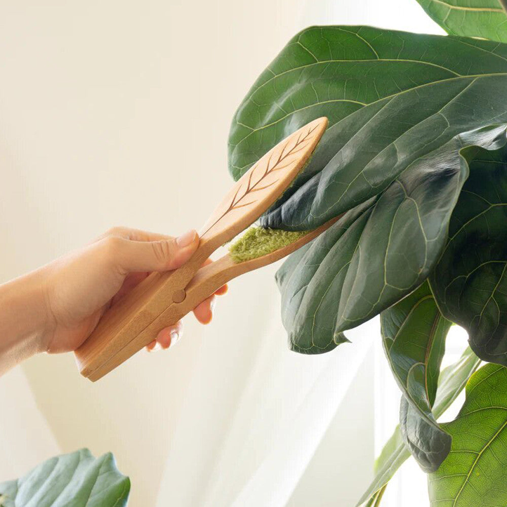 Pinces de Nettoyage pour Plantes - Kits de Plantation