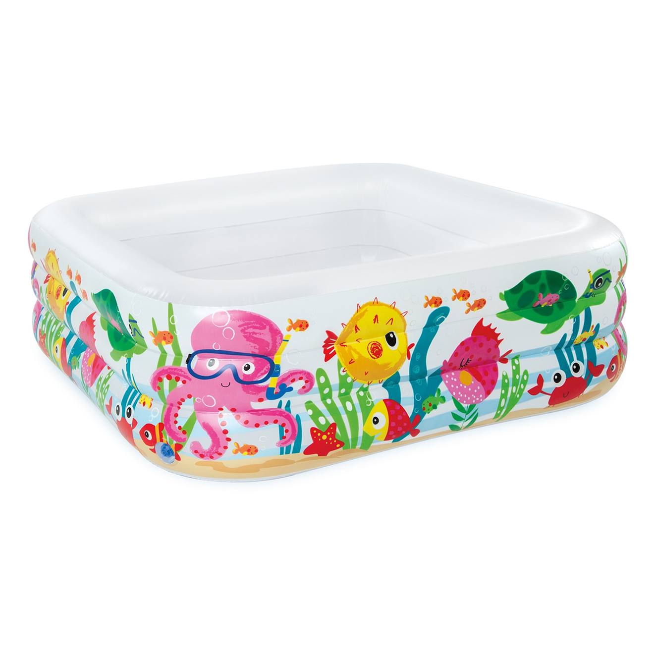 Piscine de l'aquarium du lac multicolore