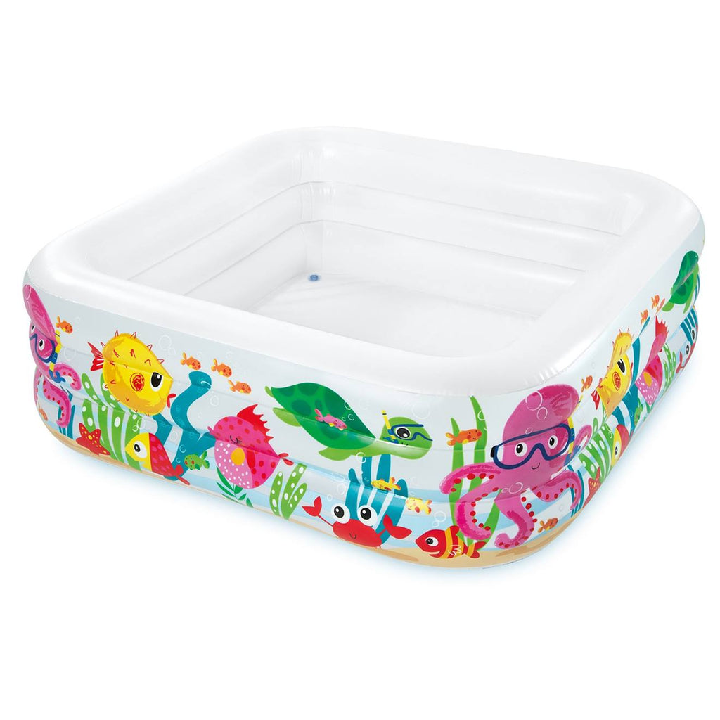 Piscine de l'aquarium du lac multicolore