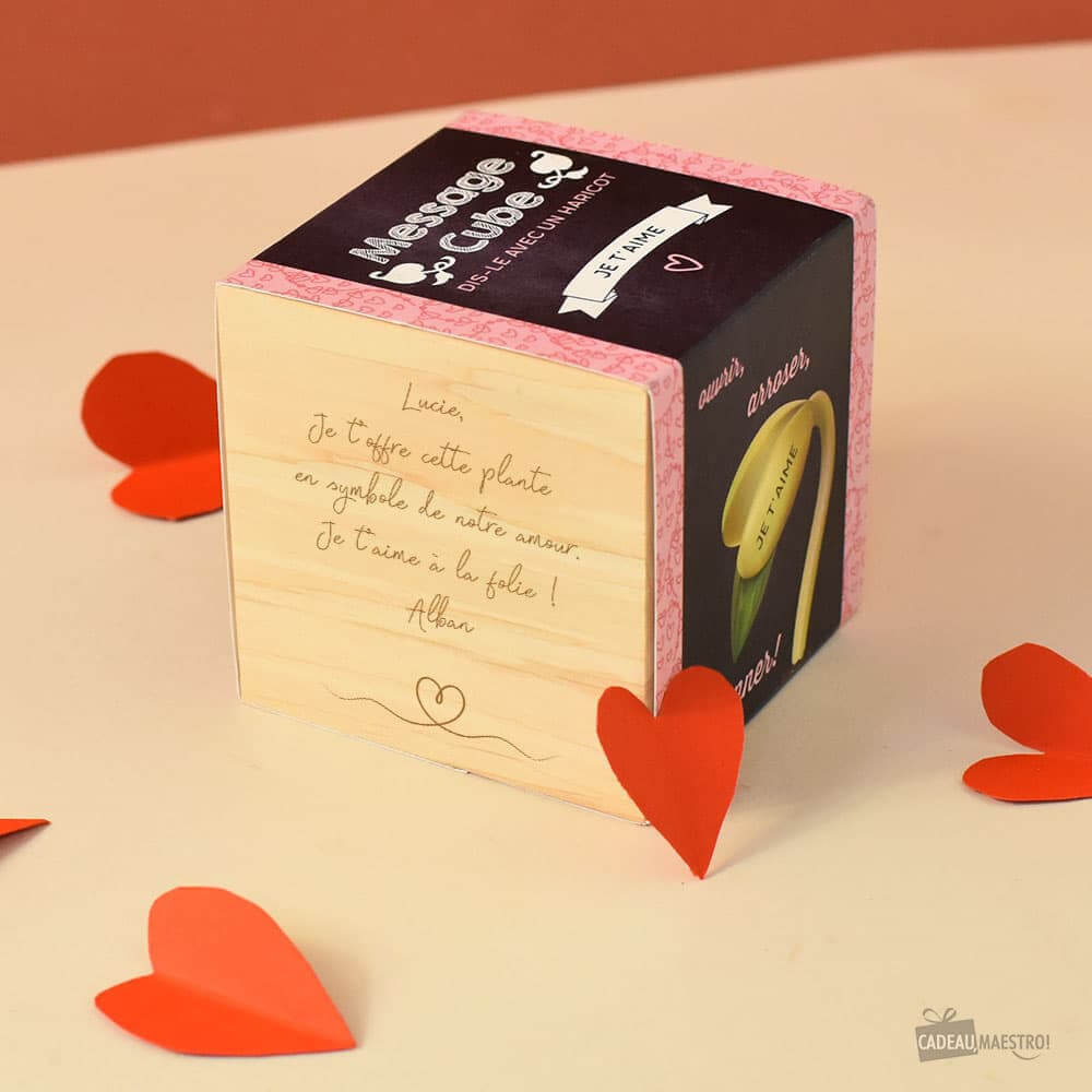Plante à Message d'Amour à Personnaliser Je t'aime - Ecocube Personnalisé
