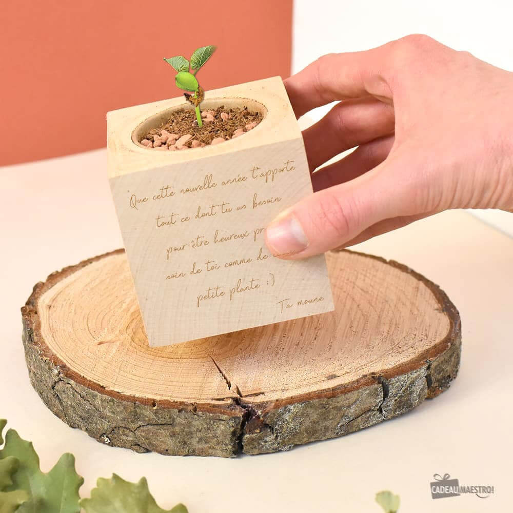 Plante à Message à Personnaliser Je t'aime - Ecocube Personnalisé