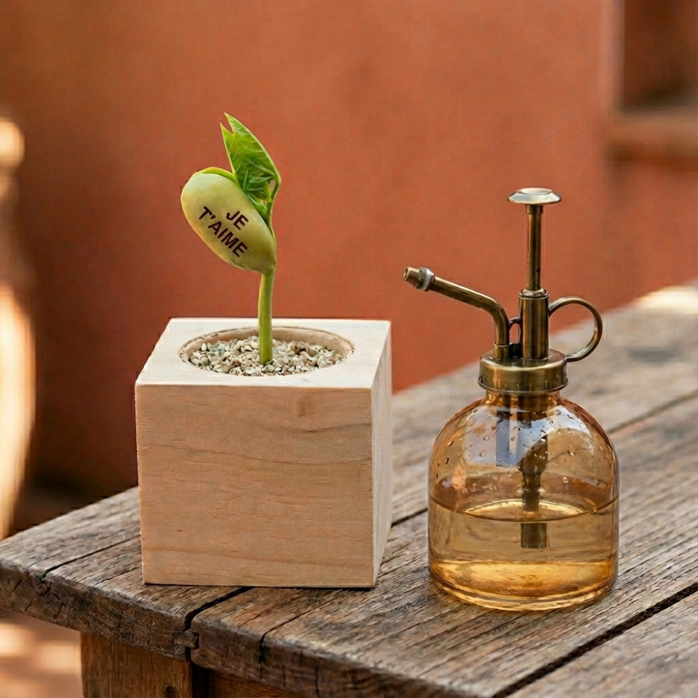 Plante à Message Je t'aime - Kits de Plantation