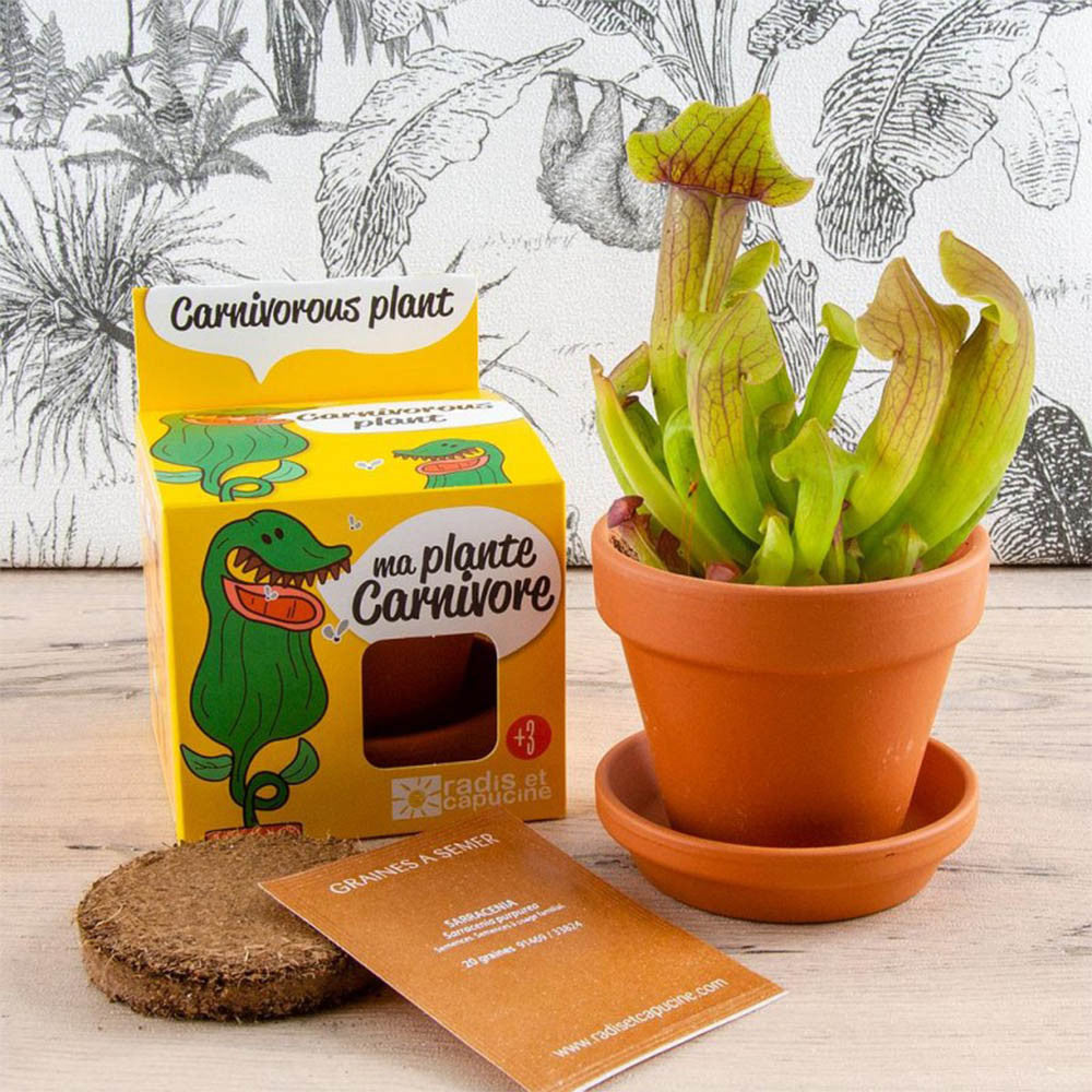Plante Carnivore à Faire Pousser - Kits de Plantation Radis et Capucine