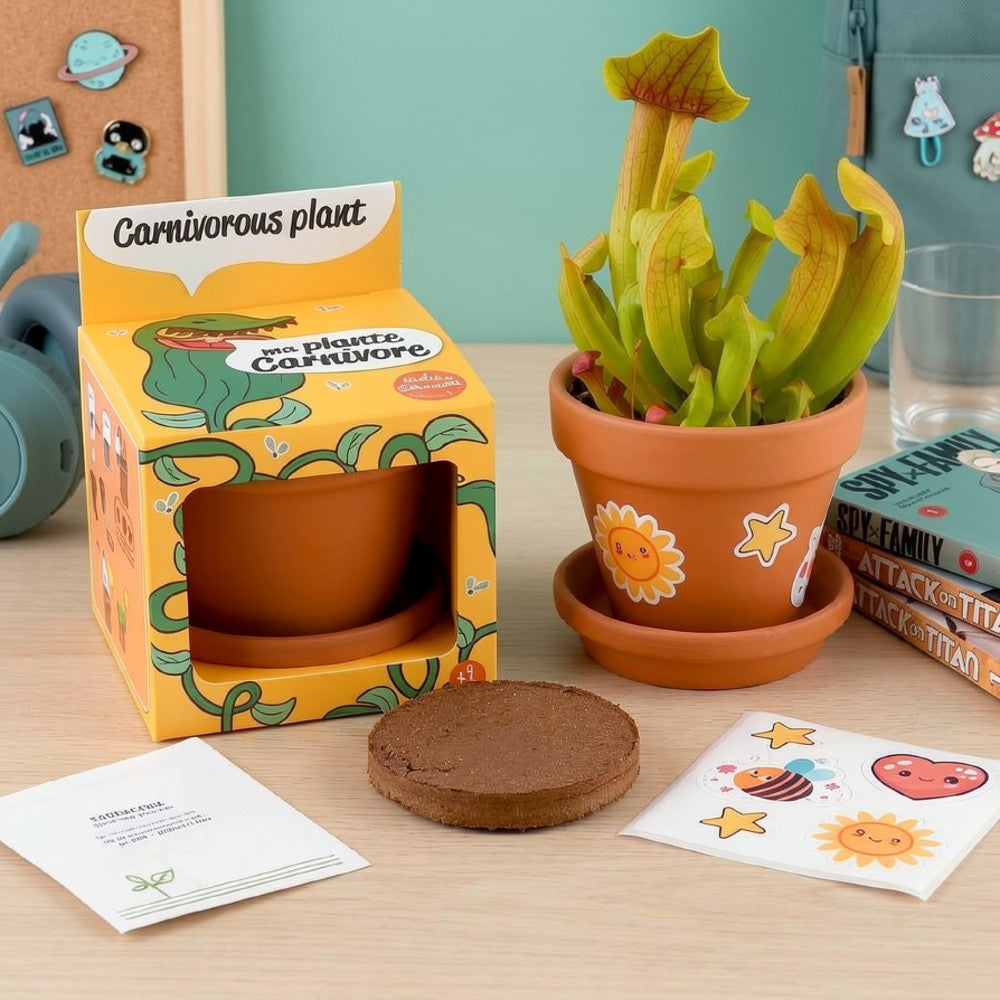Plante Carnivore à Faire Pousser - Kits de Plantation