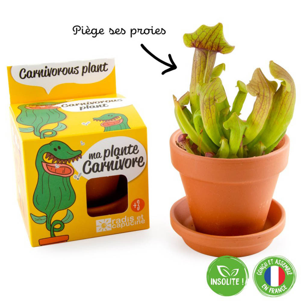 Plante Carnivore à Faire Pousser - Kits de Plantation Radis et Capucine