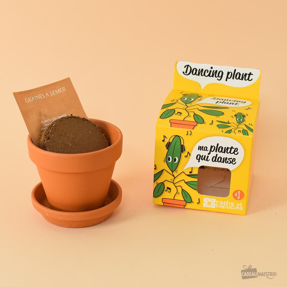 Plante qui Danse à Faire Pousser - Kits de Plantation Radis et Capucine