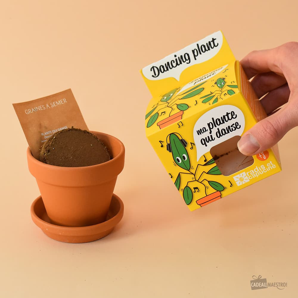 Plante qui Danse à Faire Pousser - Kits de Plantation Radis et Capucine