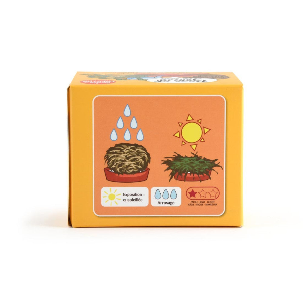 Plante Résurrection - Rose de Jericho - Kits de Plantation Radis et Capucine