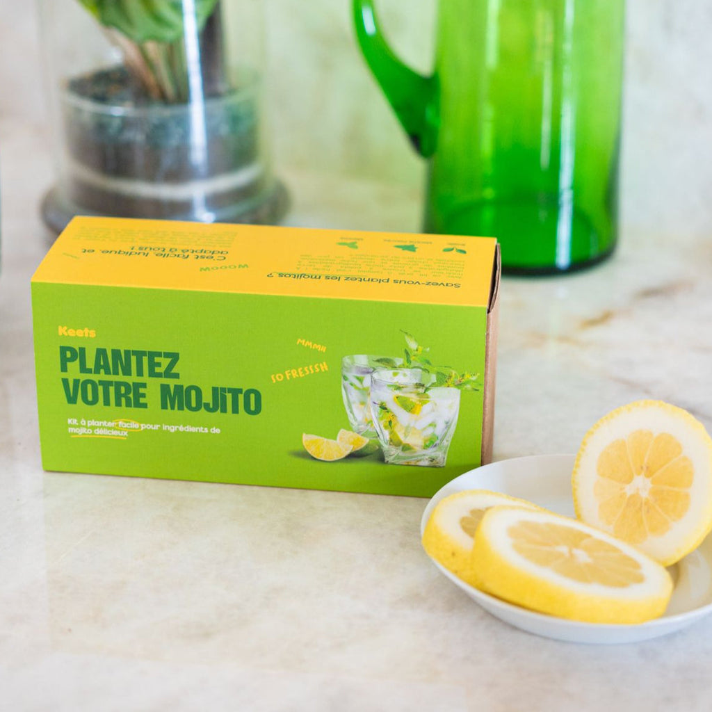 Kit jardinage mojito vue de dessus avec graines à semer