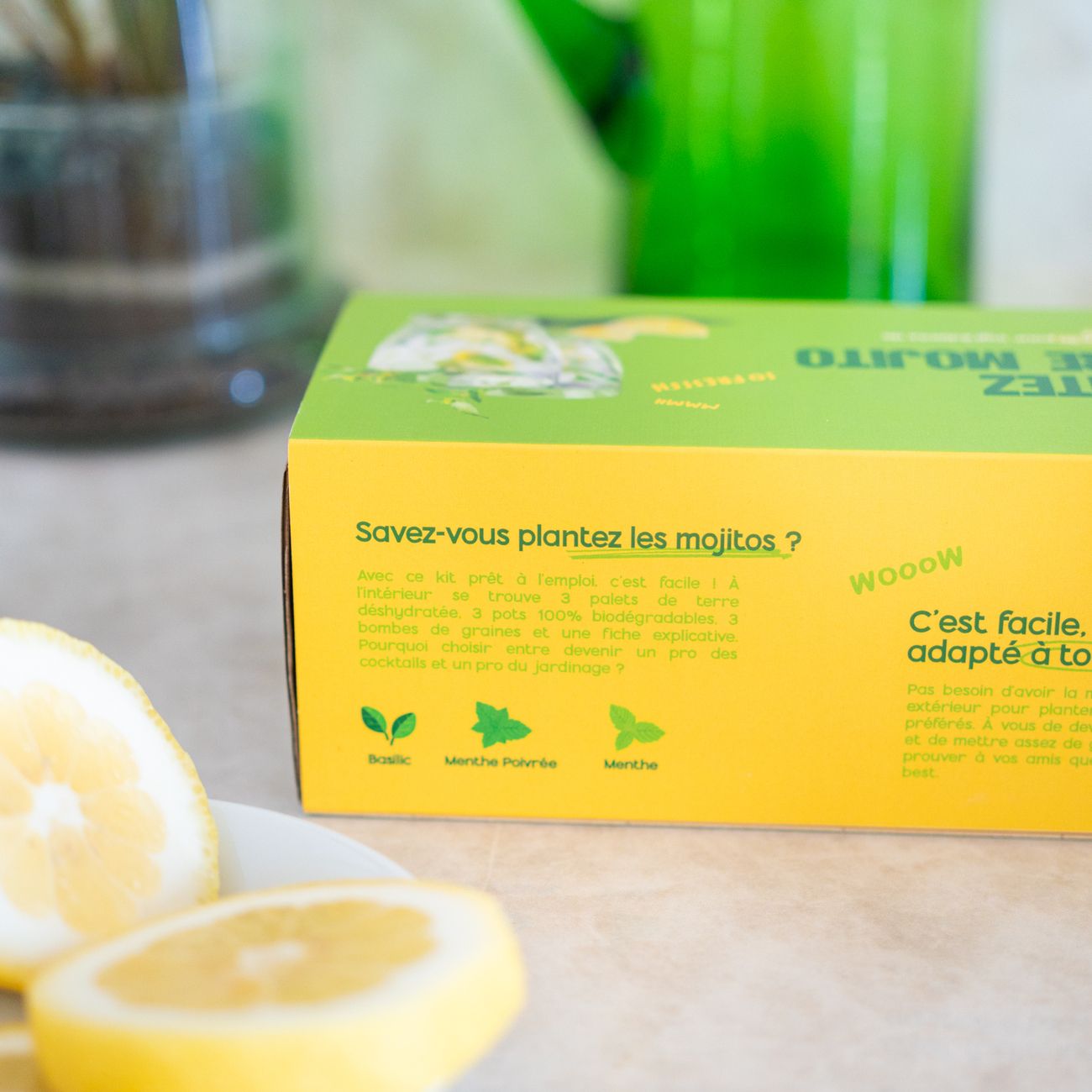 Pots et accessoires du kit à planter son mojito