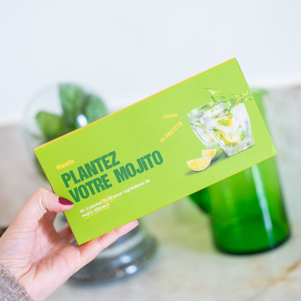 Kit à planter Mojito avec basilic et menthe