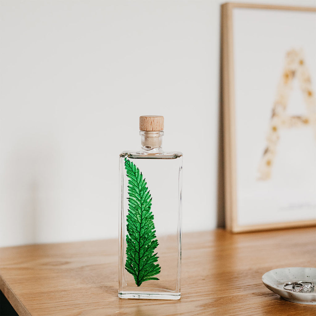 Plantes immergées en bouteille