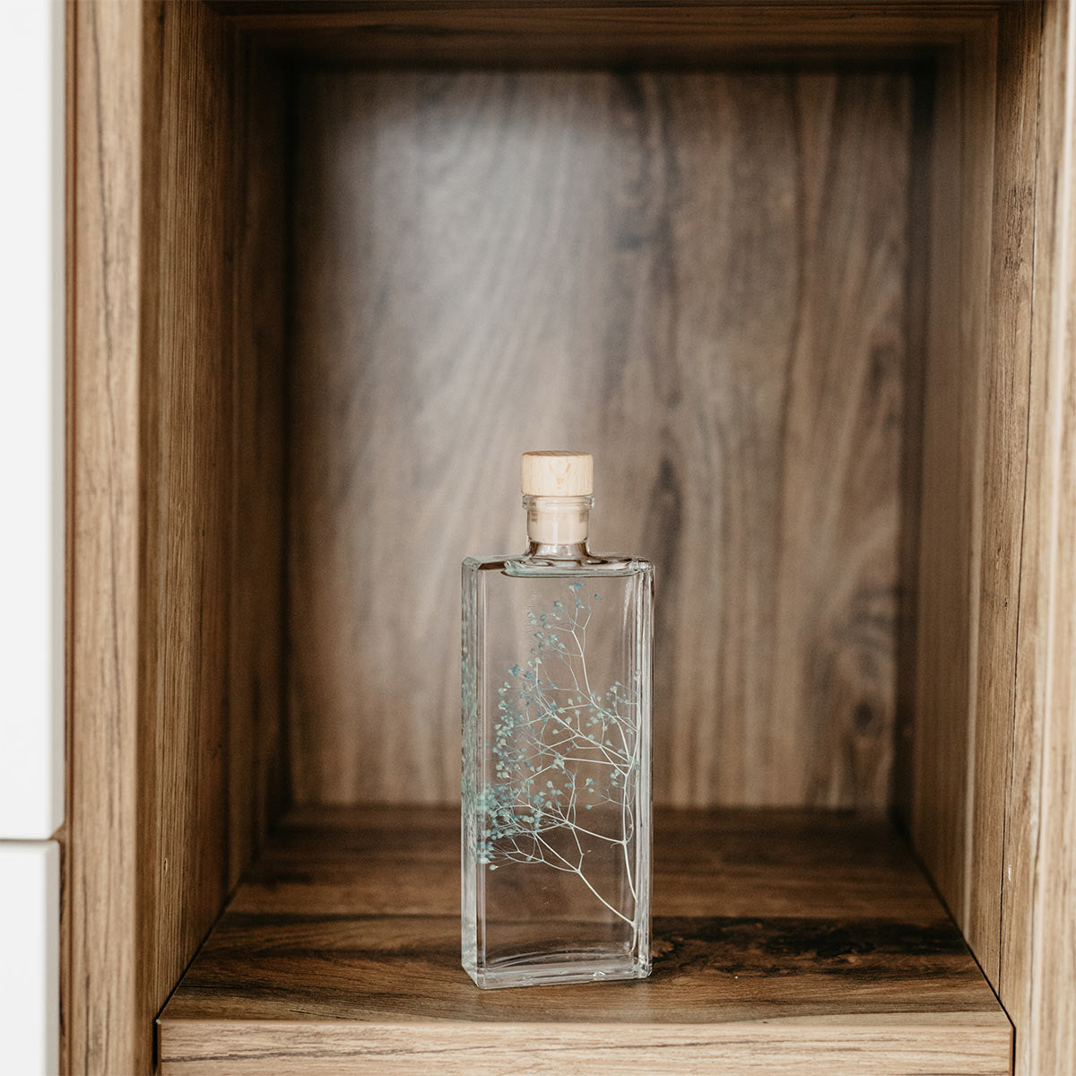Plantes immergées en bouteille