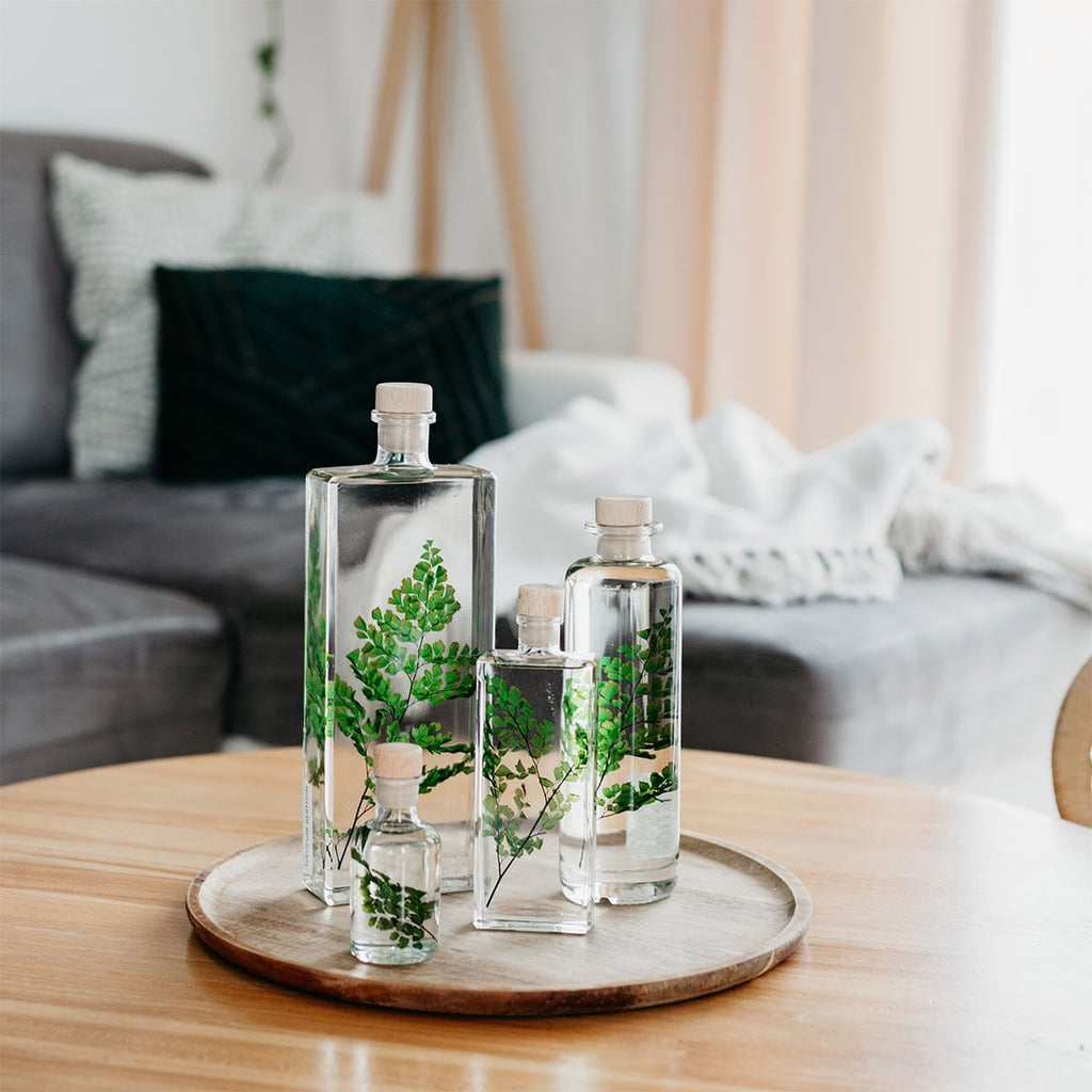 Plantes immergées en bouteille