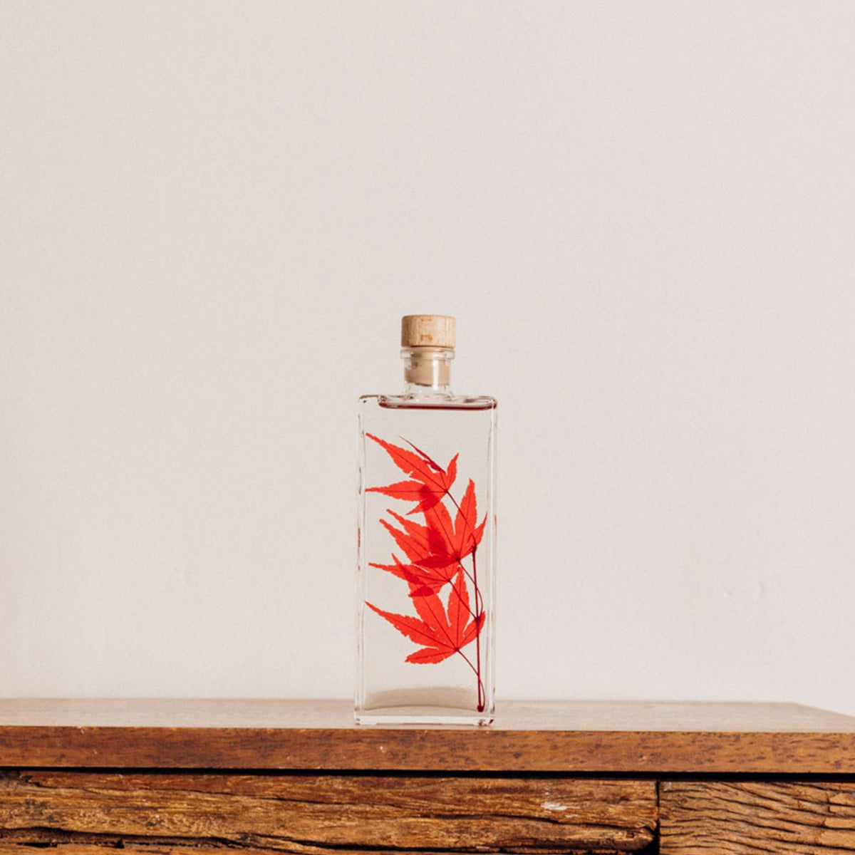 Plantes immergées en bouteille