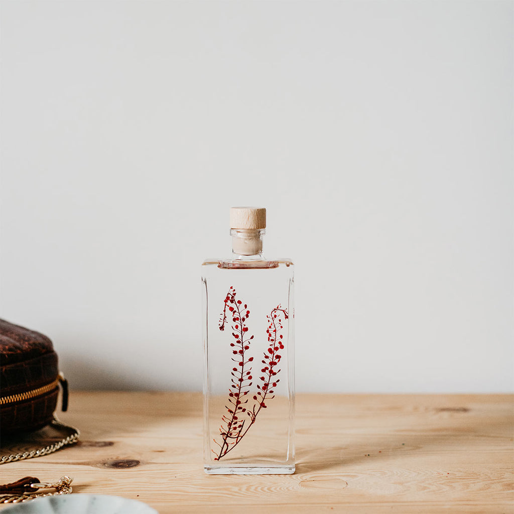 Plantes immergées en bouteille