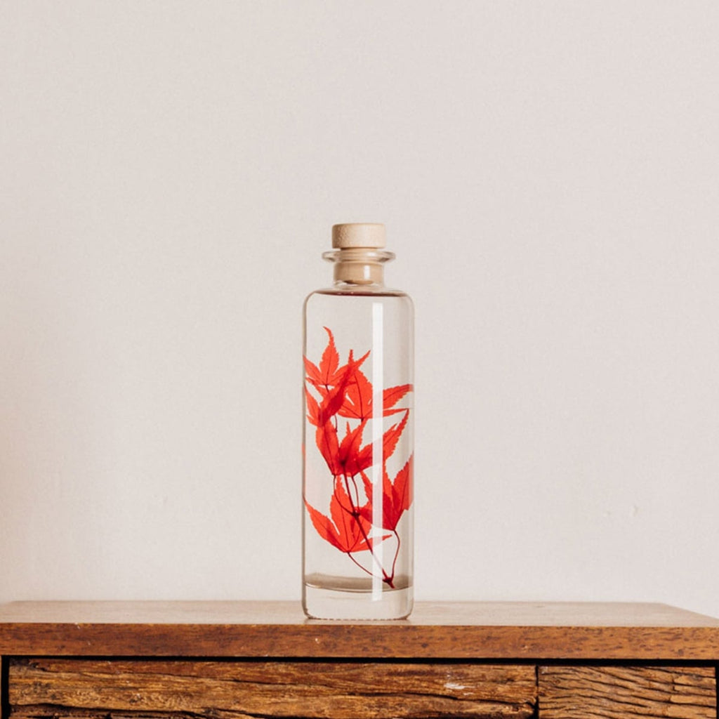 Plantes immergées en bouteille