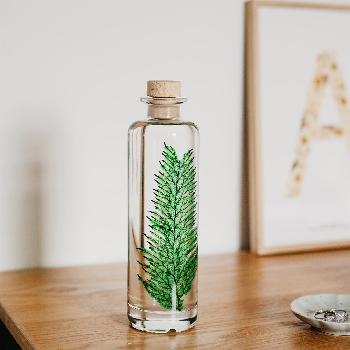 Plantes immergées en bouteille