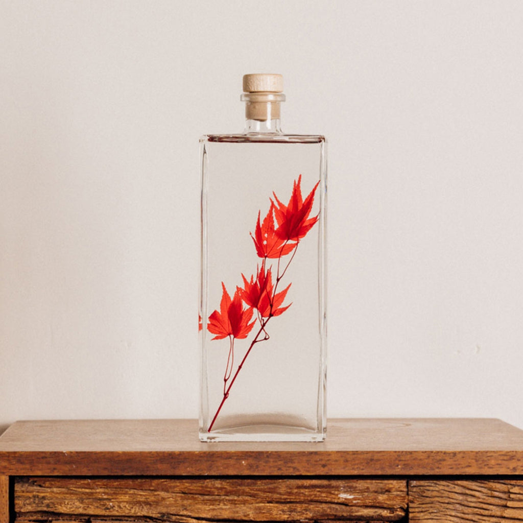 Plantes immergées en bouteille