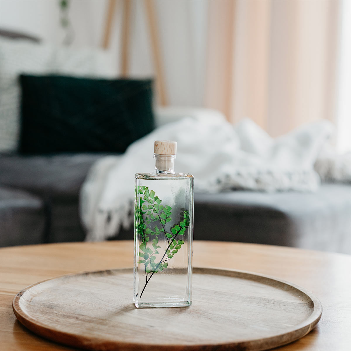 Plantes immergées en bouteille