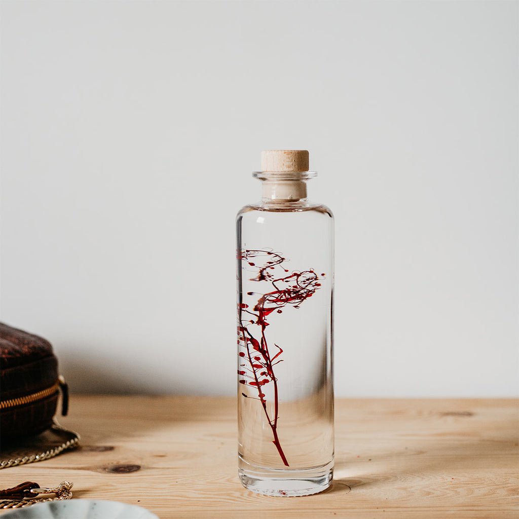 Plantes immergées en bouteille