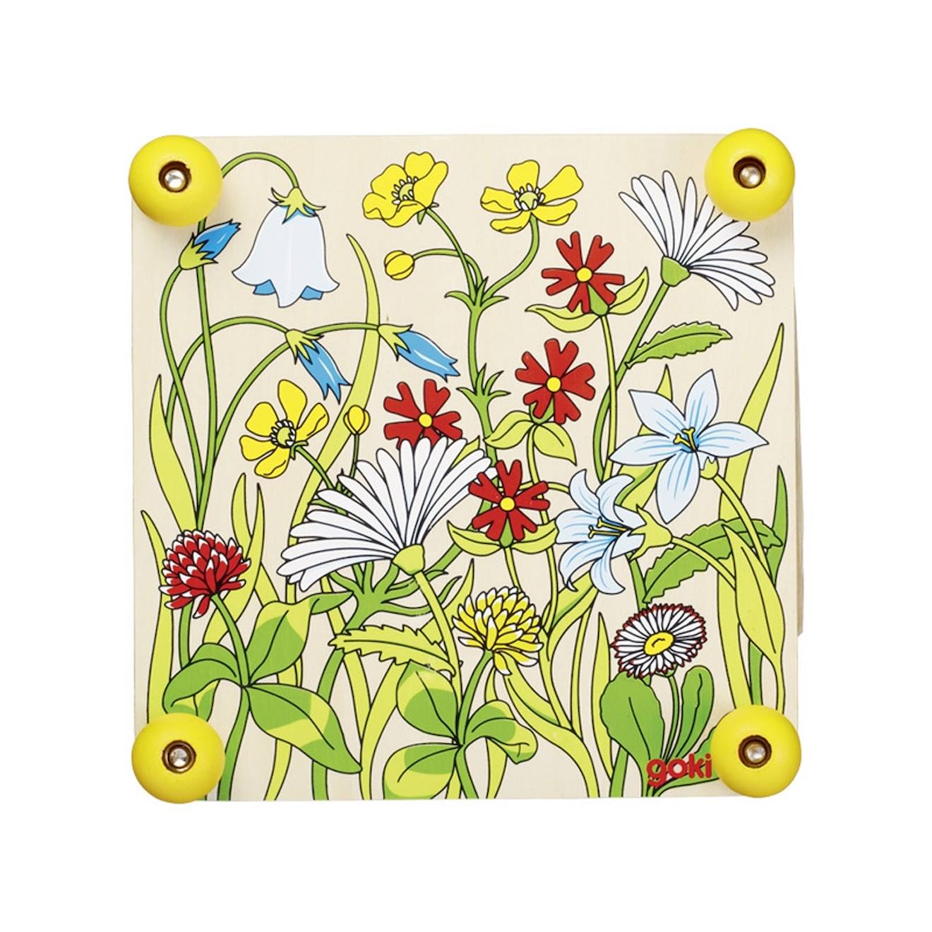 Presse-fleurs et feuilles prairie multi-coloured