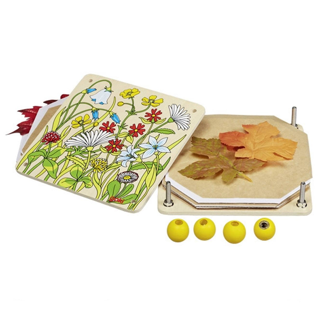 Presse-fleurs et feuilles prairie multi-coloured