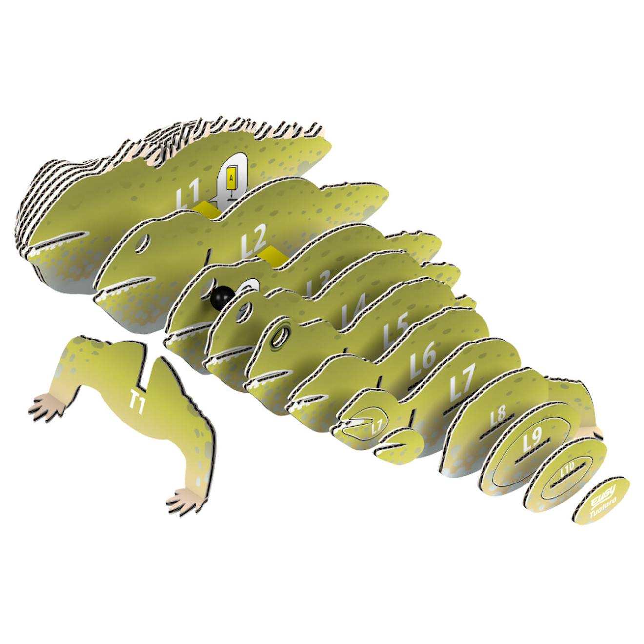 Puzzle 3D - tuatara green