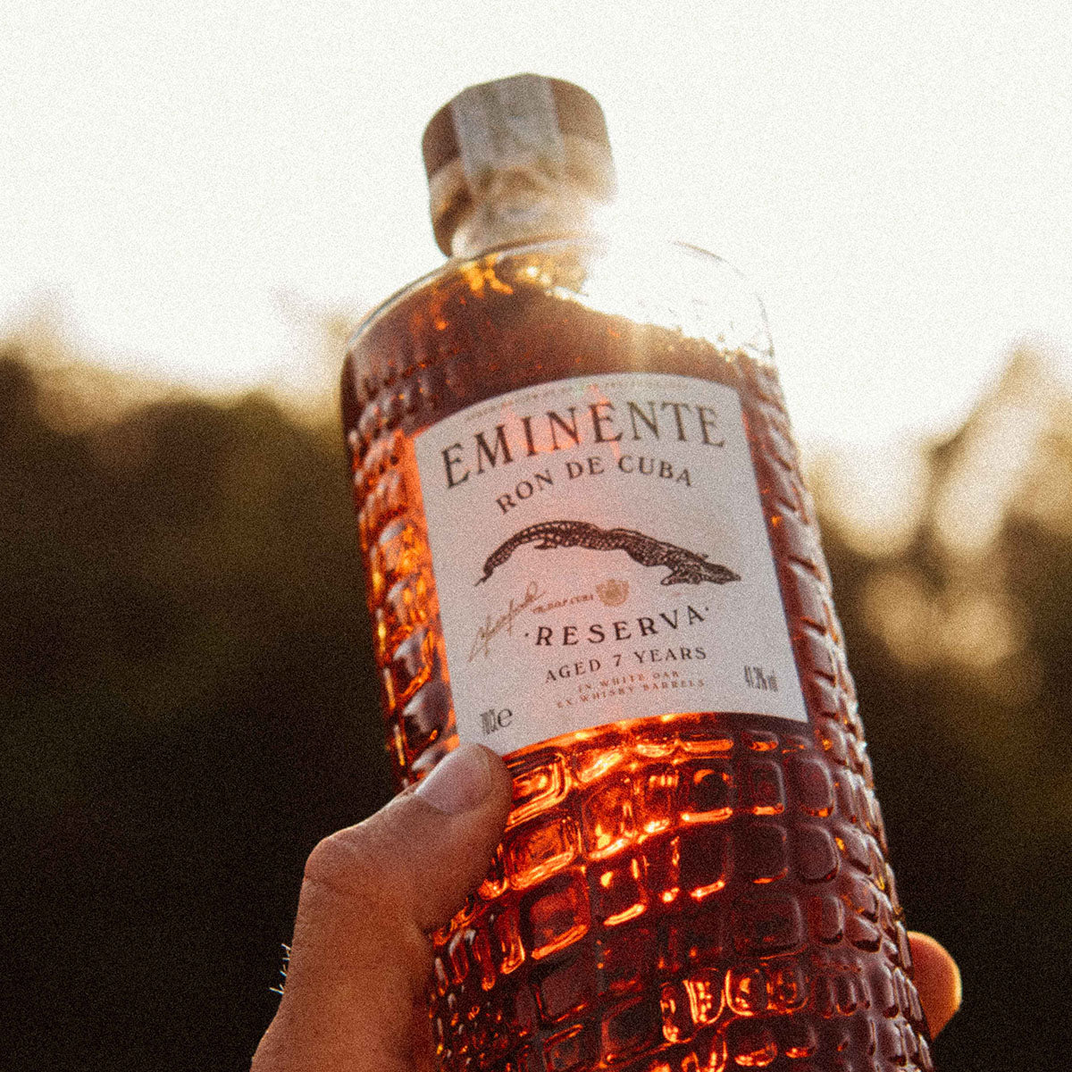 Rhum Eminente Reserva 7 ans