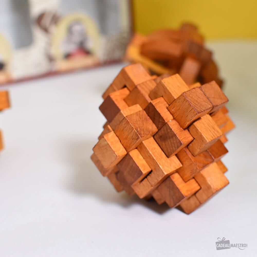 Set de Casse-Tête Grands Esprits (x3) - Casse-Tête Professor Puzzle